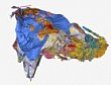Source: PIRSA Minerals, Government of South Australia